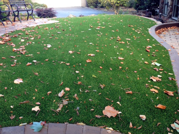 Artificial Grass Loretto, Tennessee Design Ideas, Front Yard Landscaping Ideas