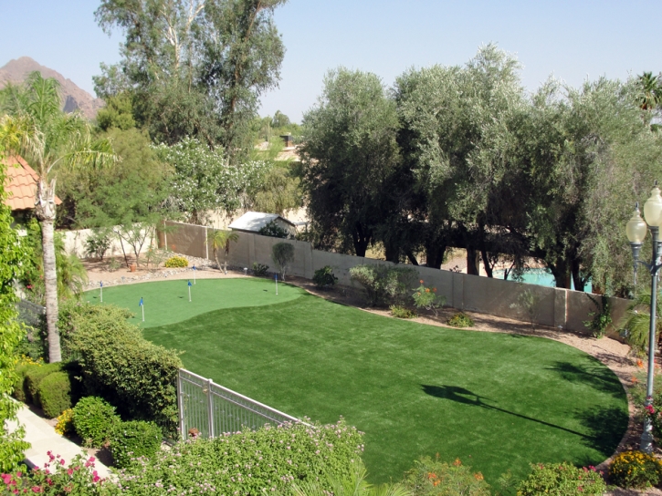 Artificial Grass Walterhill, Tennessee Rooftop, Backyard Garden Ideas