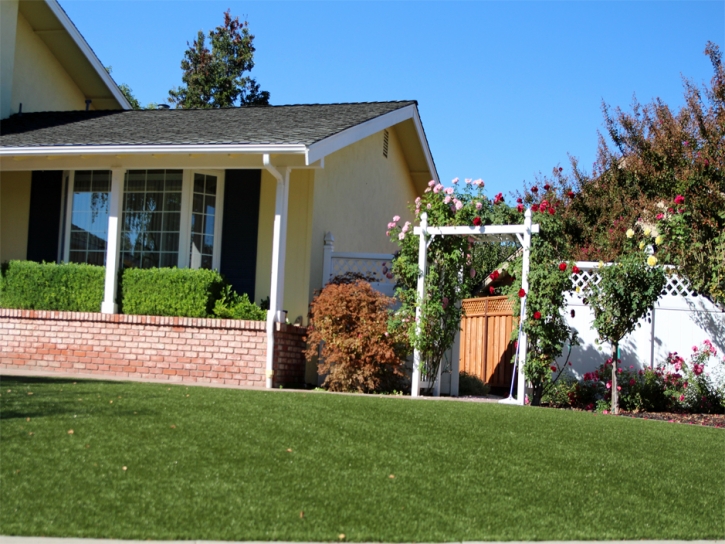 Artificial Grass White Pine, Tennessee Lawn And Garden, Front Yard Landscape Ideas