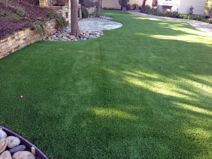 Artificial Lawn Kenton, Tennessee Lawns, Backyard Landscaping