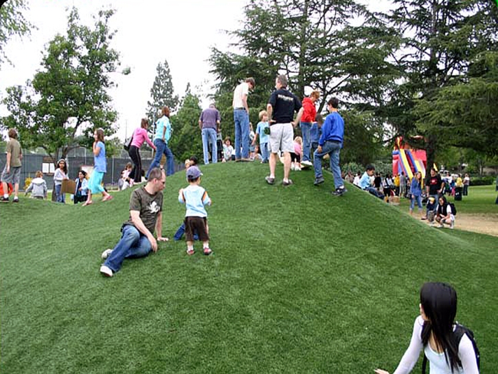 Artificial Lawn Knoxville, Tennessee Lawns, Parks