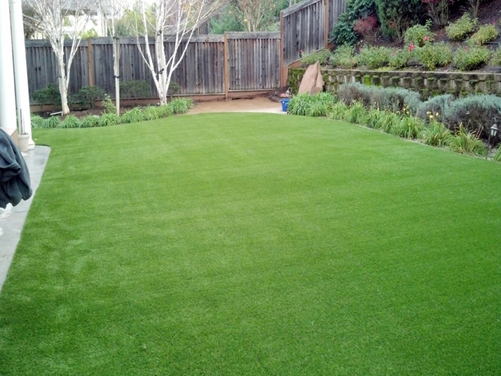 Artificial Lawn Powells Crossroads, Tennessee Lawn And Garden, Backyard Designs