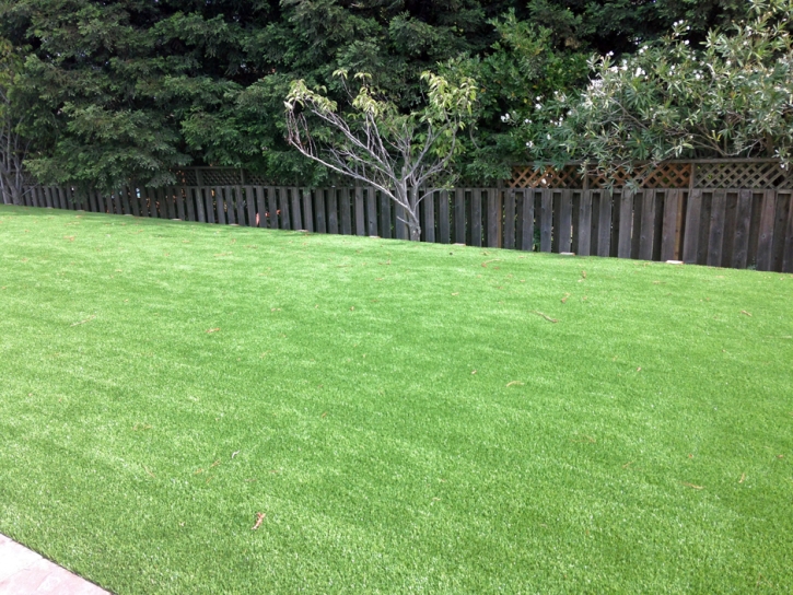 Artificial Lawn Somerville, Tennessee Home And Garden, Backyard Ideas