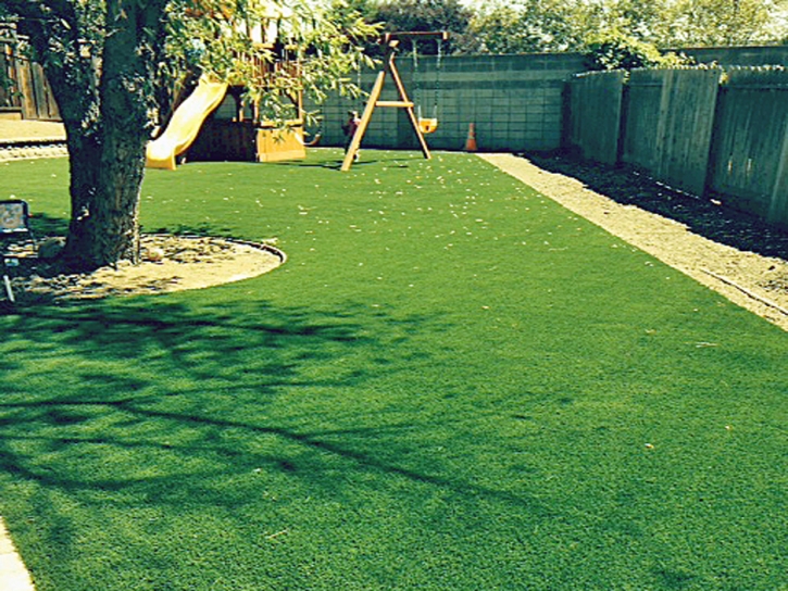 Artificial Lawn Spring City, Tennessee Design Ideas, Backyard Ideas