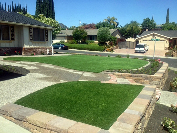 Artificial Turf Clifton, Tennessee Gardeners