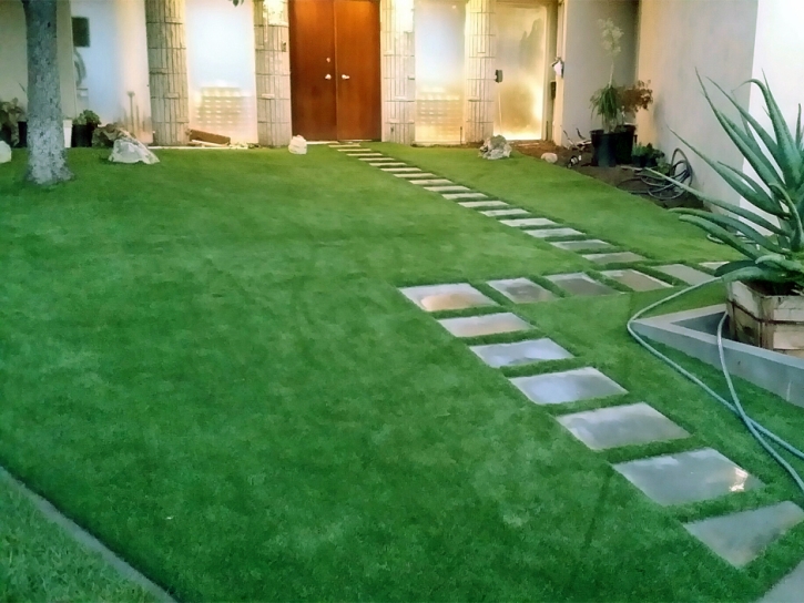 Artificial Turf Cost Bean Station, Tennessee Landscape Design, Front Yard