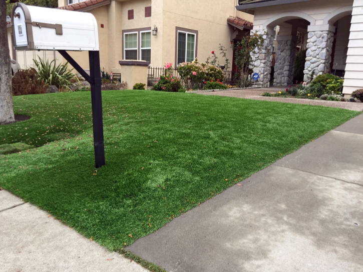 Artificial Turf Cost Brighton, Tennessee Home And Garden, Small Front Yard Landscaping