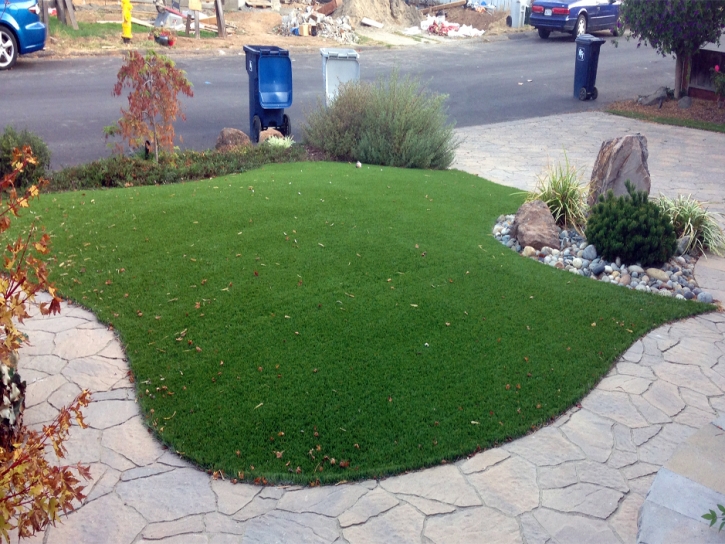 Artificial Turf Cost Charlotte, Tennessee Home And Garden