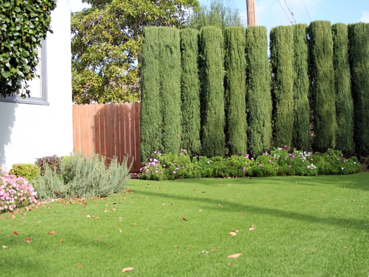 Artificial Turf Cost Decherd, Tennessee Landscaping, Front Yard Landscaping Ideas