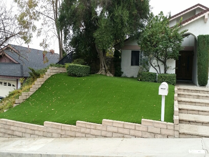 Artificial Turf Cost Jefferson City, Tennessee Design Ideas, Front Yard Design