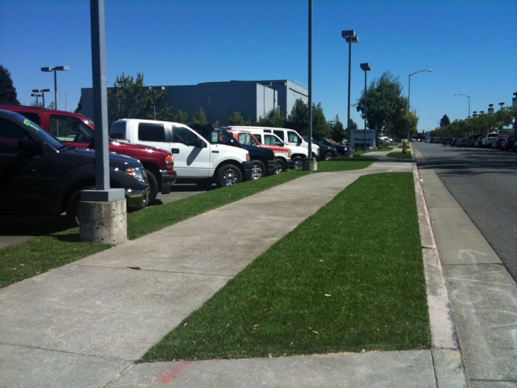 Artificial Turf Cost Medina, Tennessee Roof Top, Commercial Landscape