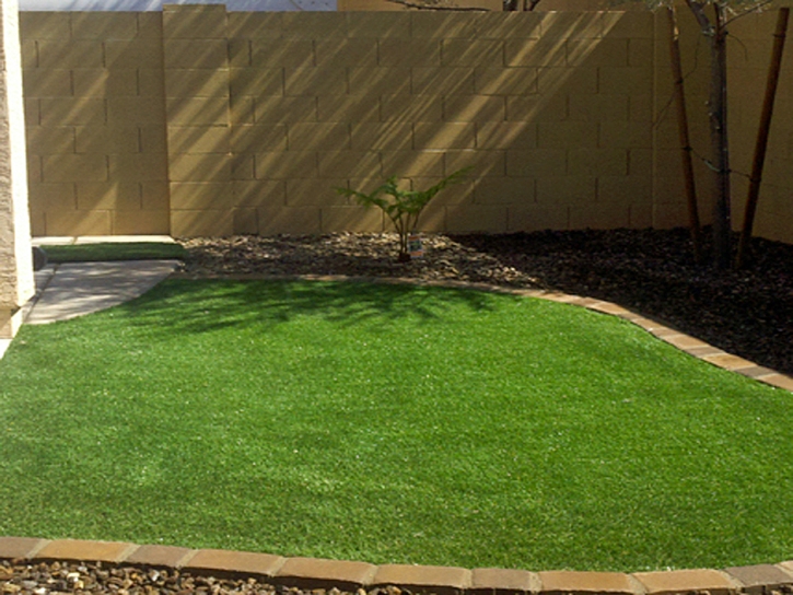 Artificial Turf Cost Nolensville, Tennessee Landscaping, Backyard Makeover