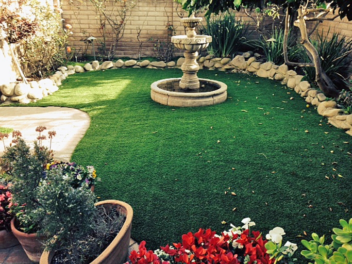 Artificial Turf Cost Yorkville, Tennessee Design Ideas