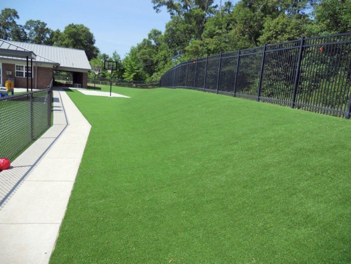 Artificial Turf Eagleville, Tennessee City Landscape, Commercial Landscape