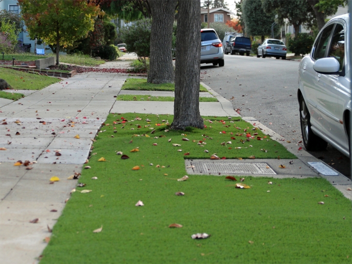 Artificial Turf Installation Millersville, Tennessee Home And Garden, Landscaping Ideas For Front Yard