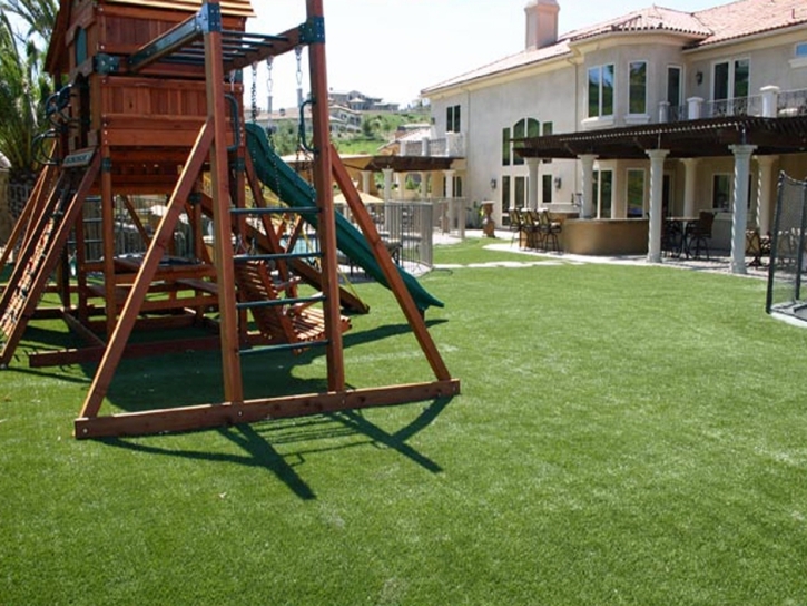 Artificial Turf Installation Pleasant Hill, Tennessee Backyard Playground, Backyard