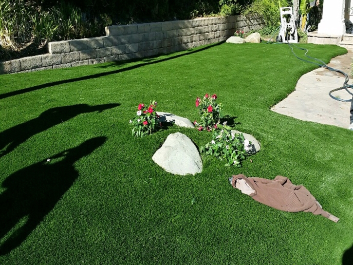 Artificial Turf Installation Rutledge, Tennessee Garden Ideas, Front Yard Design