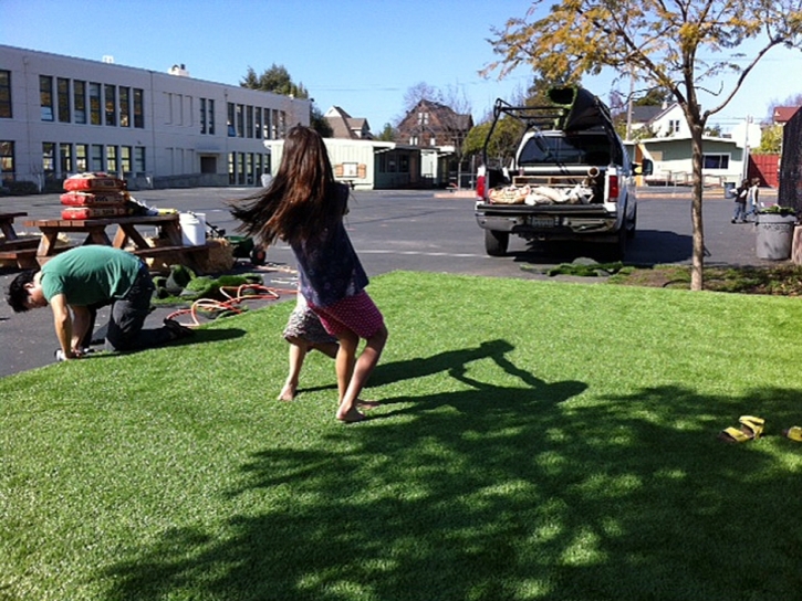 Artificial Turf Installation Westmoreland, Tennessee Landscape Rock, Commercial Landscape