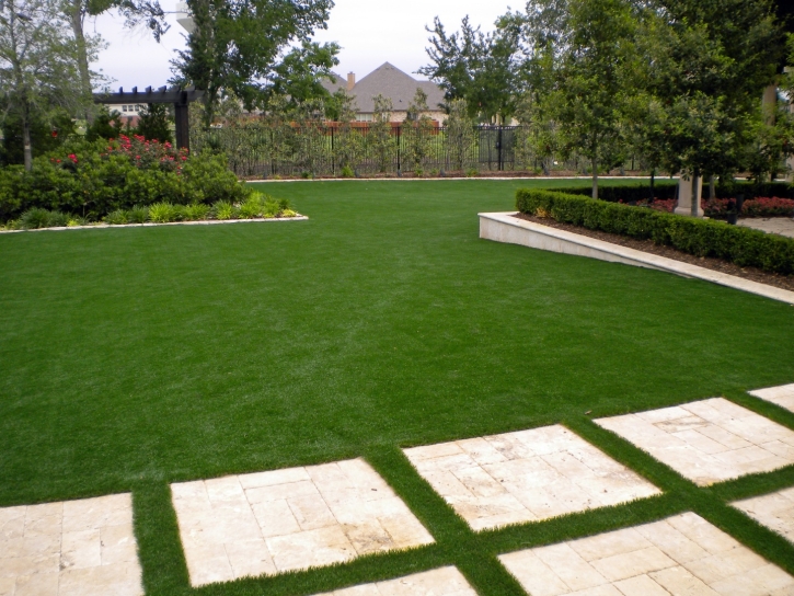 Artificial Turf Jackson, Tennessee City Landscape, Backyard Designs