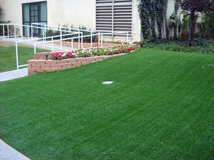 Artificial Turf Lewisburg, Tennessee Best Indoor Putting Green, Front Yard