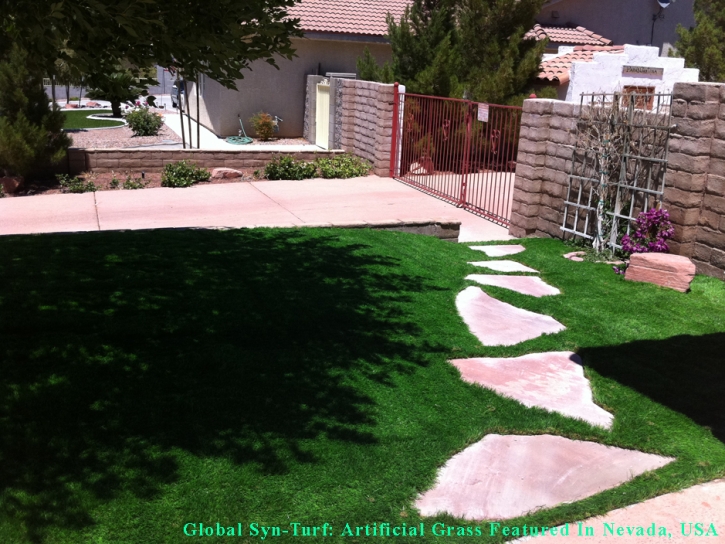 Best Artificial Grass Braden, Tennessee Pet Paradise, Front Yard Landscaping