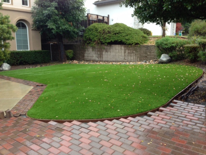 Best Artificial Grass Fairview, Tennessee Lawn And Garden, Front Yard Ideas