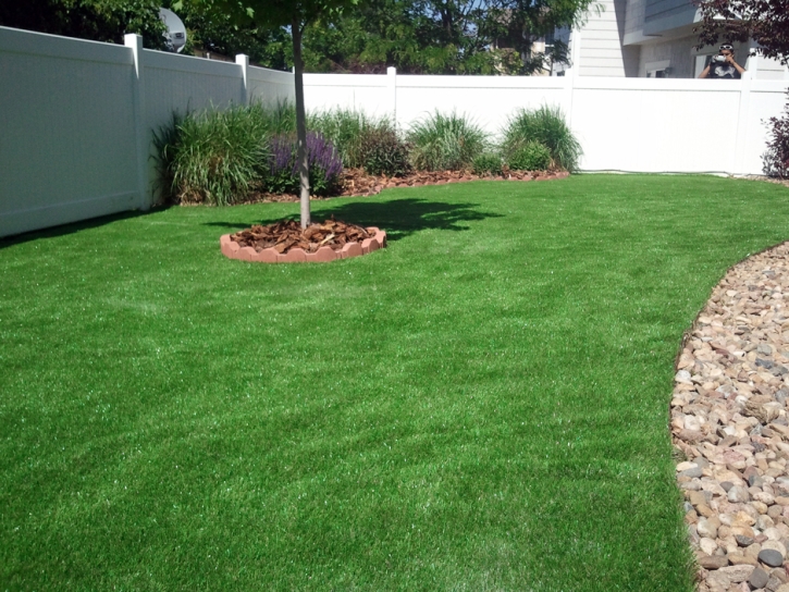 Best Artificial Grass Halls, Tennessee Landscape Design, Backyard Garden Ideas