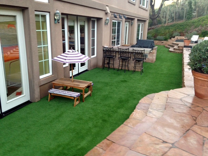 Best Artificial Grass Livingston, Tennessee Lawn And Garden, Small Backyard Ideas