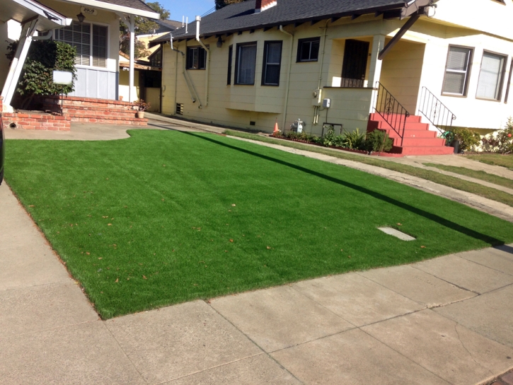 Best Artificial Grass Pleasant View, Tennessee Landscape Ideas, Landscaping Ideas For Front Yard