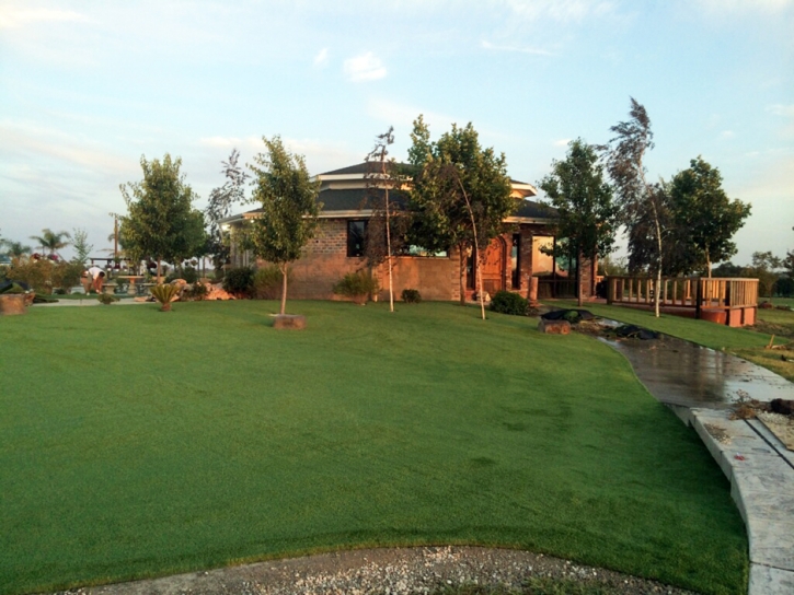 Best Artificial Grass Troy, Tennessee Design Ideas, Commercial Landscape