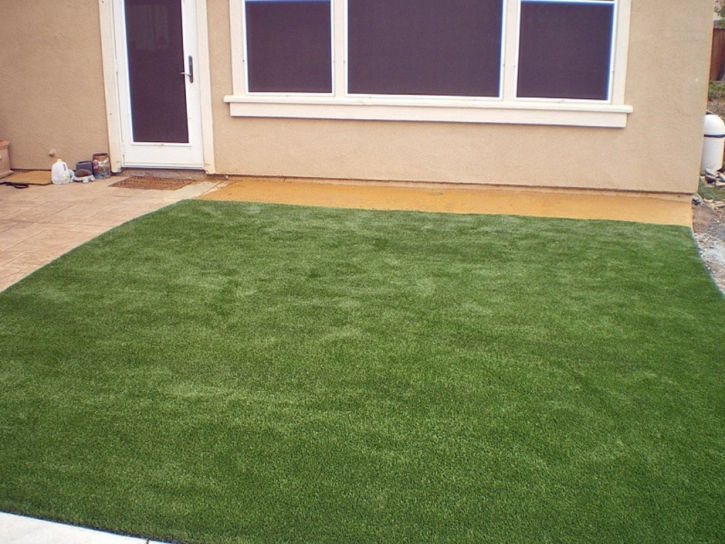 Best Artificial Grass White House, Tennessee Landscape Rock, Backyard Ideas