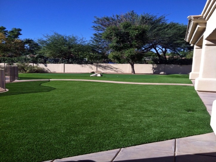 Best Artificial Grass Wrigley, Tennessee Landscape Photos, Front Yard Landscaping Ideas