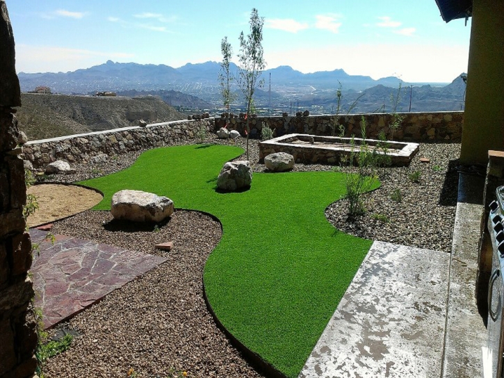 Fake Grass Apison, Tennessee Dog Park, Beautiful Backyards