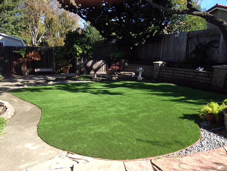 Fake Grass Carpet Apison, Tennessee Lawn And Garden, Backyard