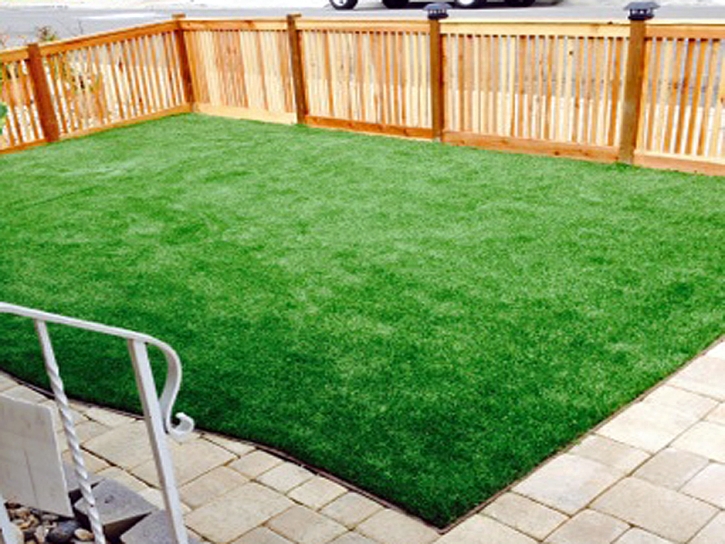 Fake Grass Carpet Coalfield, Tennessee Gardeners, Backyard Landscaping Ideas