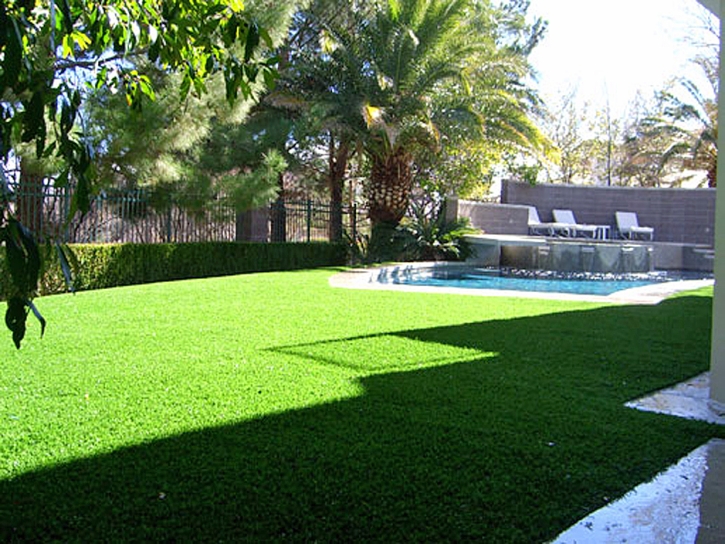 Fake Grass Carpet Philadelphia, Tennessee Landscaping Business, Kids Swimming Pools