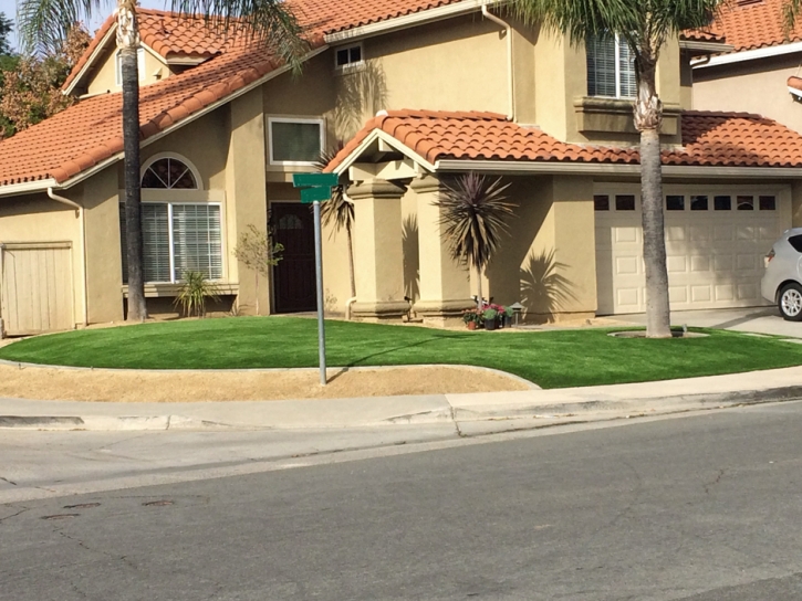 Fake Grass Coalmont, Tennessee Roof Top, Small Front Yard Landscaping