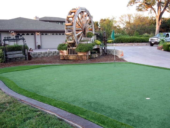 Fake Grass Copperhill, Tennessee Putting Green Carpet, Front Yard Landscaping Ideas