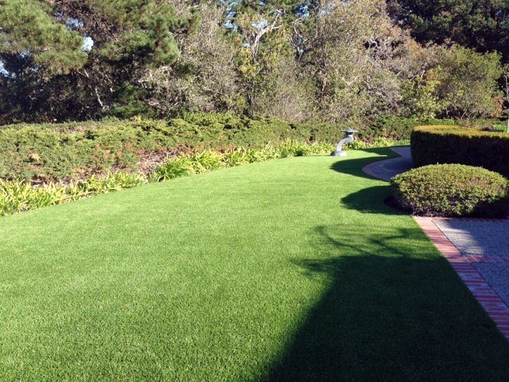 Fake Grass New Deal, Tennessee Gardeners, Front Yard Landscape Ideas