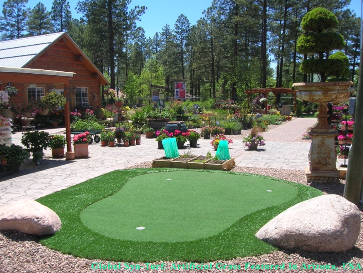 Fake Grass New South Memphis, Tennessee Backyard Playground, Backyards