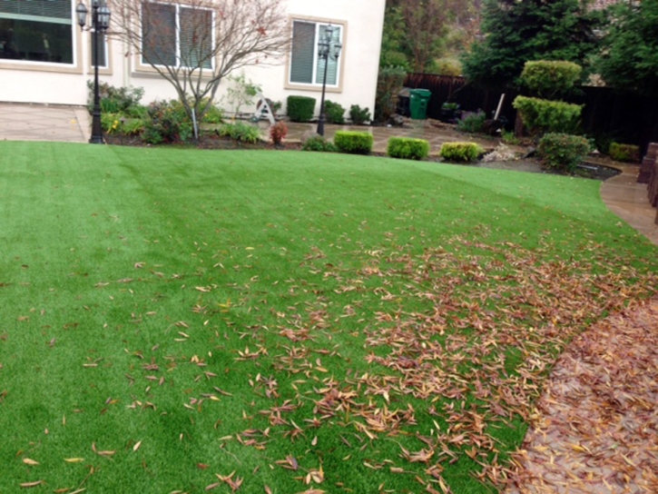 Fake Lawn Puryear, Tennessee Landscape Design, Backyards