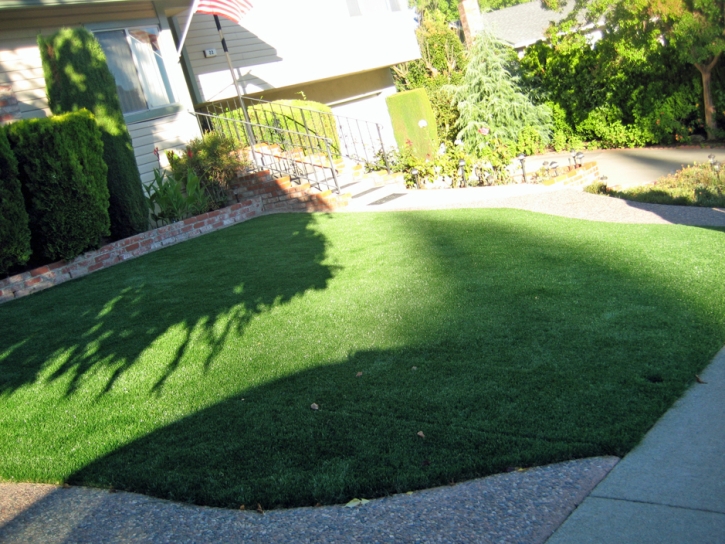 Fake Turf Gadsden, Tennessee Home And Garden, Small Front Yard Landscaping