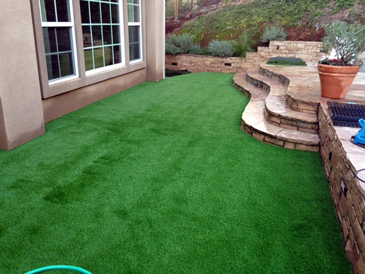 Fake Turf Graysville, Tennessee Lawn And Garden, Backyard Ideas