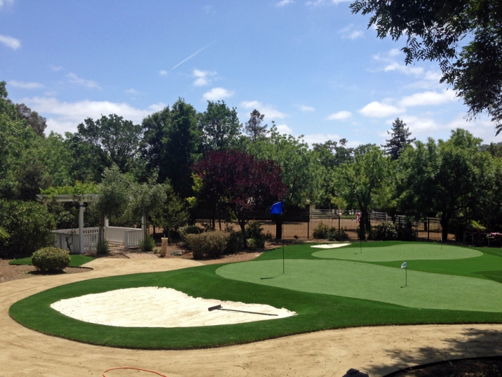 Fake Turf New Johnsonville, Tennessee Office Putting Green, Front Yard Landscaping