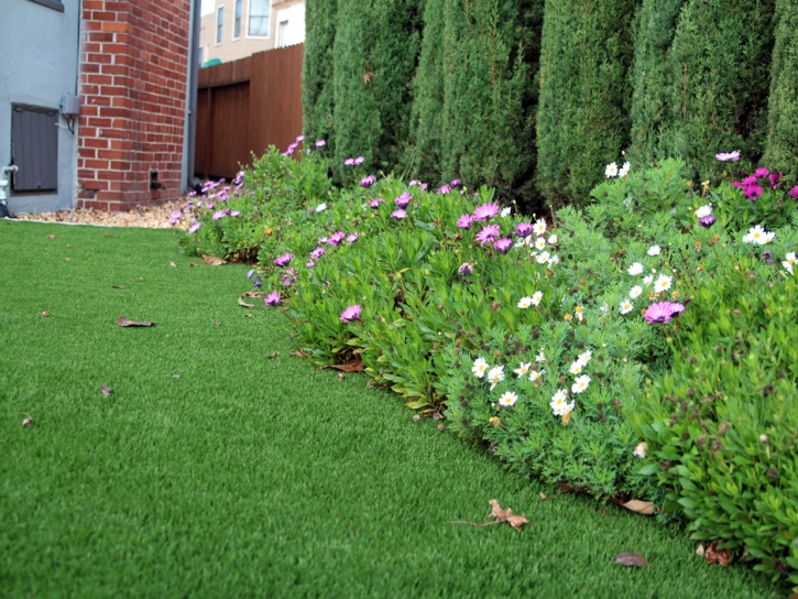 Fake Turf Orme, Tennessee Gardeners, Front Yard Ideas