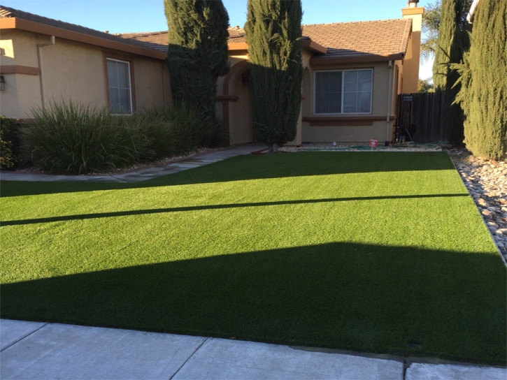 Fake Turf Rockwood, Tennessee Lawn And Landscape, Front Yard Landscaping