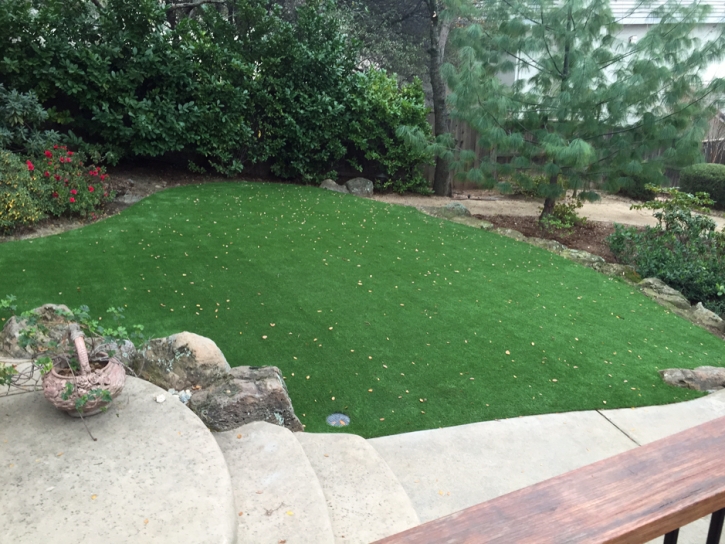 Fake Turf Sunbright, Tennessee Backyard Playground, Backyard Landscaping