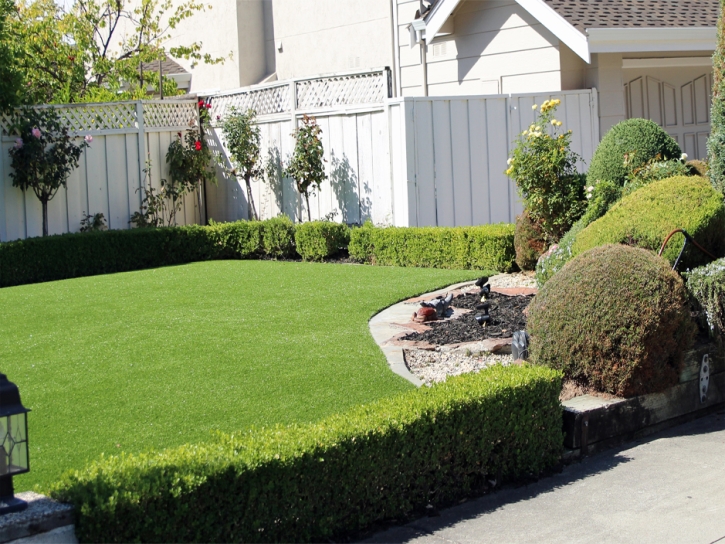 Faux Grass Ardmore, Tennessee Backyard Playground, Front Yard Landscaping