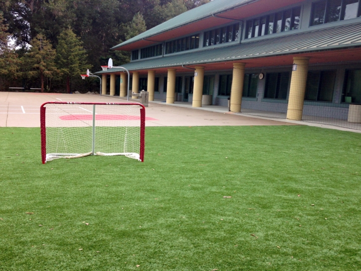 Faux Grass Englewood, Tennessee High School Sports, Commercial Landscape