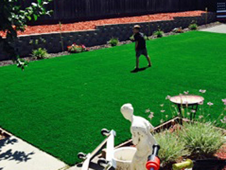 Faux Grass Harriman, Tennessee Landscape Design, Backyard